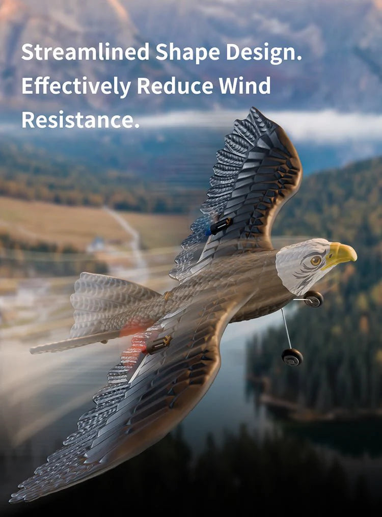 Wireless Remote Control Eagle Flying Toy for Kids and Family Outdoor Activities